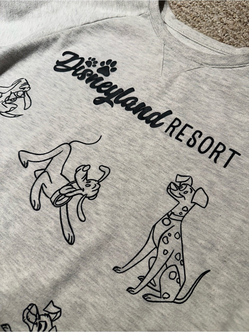 Women’s Disneyland Cartoon Dogs Pullover Sweatshirt - Picture 2 of 5